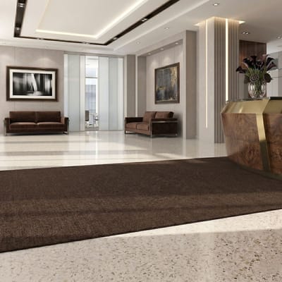 Floordirekt Vuilvangmat Hong Kong - Veelzijdig Inzetbaar - Antislip - Bruin - 67 x 100 cm - Stevig & Onderhoudsvriendelijk voor Binnen & Entree