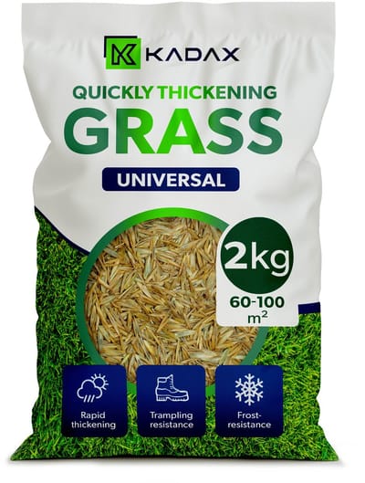 KADAX gazonzaad, graszaad, snelgroeiend gras, gazonkorrels, snel kiemend gazonzaad, graszaad bestand tegen vorst, gazon (2 kg)