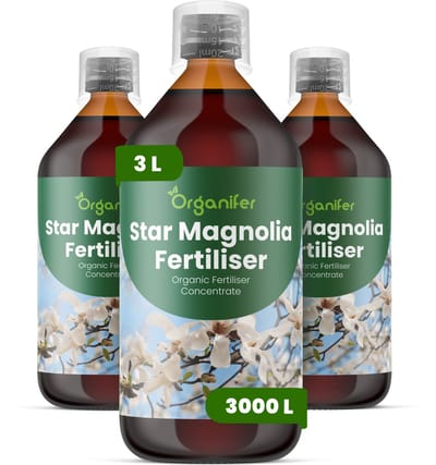 Vloeibare Meststof Voor Stermagnolia 3X1 L Voor 3000 L - Npk 3-4-3 - Ondersteunt Vroege En Rijke Bloei Bij Stermagnolia - Verbetert Knopvorming En Bloeikwaliteit - Geschikt Voor Langdurige Verzorging Van Sierheesters - Organifer