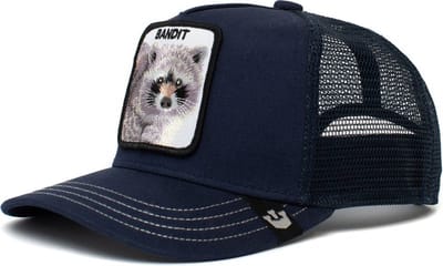 Goorin Bros. KIDS Sticky Bandit Trucker Cap - Blue