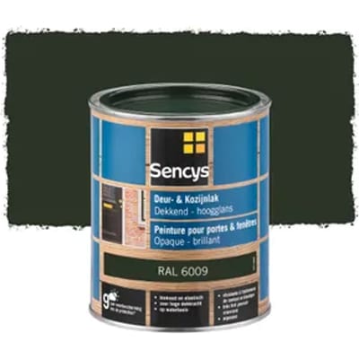 Sencys Lak Voor Deurenen Ramen Hoogglans Ral6009 750ml