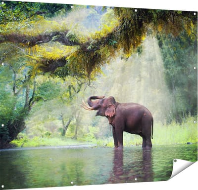 Gards Tuinposter Vrolijke Olifant in het Water - 150x120 cm - Tuindoek - Tuindecoratie - Wanddecoratie buiten - Tuinschilderij