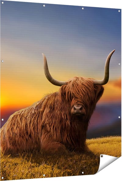 Gards Tuinposter Schotse Hooglander Koe op een Heuvel - 120x150 cm - Tuindoek - Tuindecoratie - Wanddecoratie buiten - Tuinschilderij