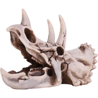 Hars Dinosaurus Triceratops Schedel Model Gesimuleerd Skelet Huis Kantoor Display Decoratief Handwerk gray