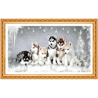 5D Dieren Serie Doe-het-zelf Diamantschilderij Huskies Hond Borduurwerk Volledig Ronde Diamant Muurstickers Decor 20X30CM white