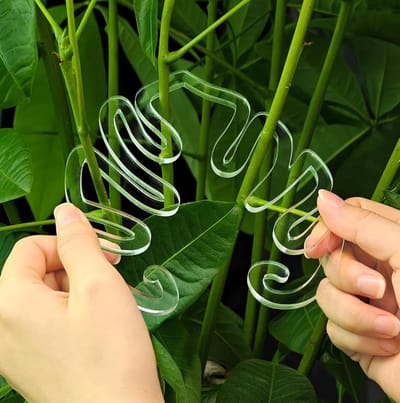 Actie4you® - Planten houder - Bladvormige Plantenstandaard met Plantengroei – Steel houder – Planten versteviger – Planten organizer – Plant Support - Voor Kleine jonge planten met zachte stelen! - Monstera - 14x15CM