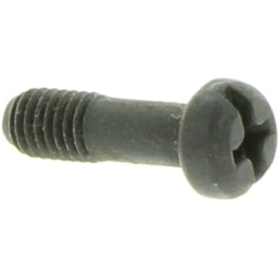 Screw