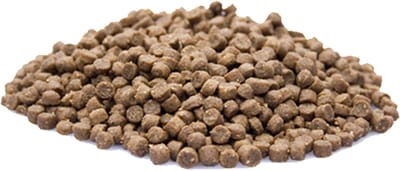 Premium Kittenvoeding – Complete en Gebalanceerde Voeding voor Gezonde Groei van Kittens (4 weken – 1 jaar) 2 kg