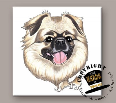 Tegel Hond Tibetaanse Spaniel