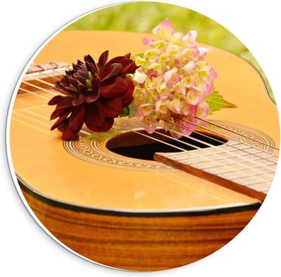 KuijsFotoprint - Schilderij - Gitaar In Grasveld Met Bloemen - Groen, Bruin, Geel, Roze En Rood - 20 X 20 Cm