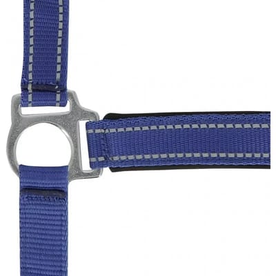 Norton Equestrian Reflective Halster Blauw Cob