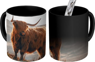 Magische Mok - Foto op Warmte Mokken - Koffiemok - Schotse hooglander - Dieren - Landelijk - Landschap - Koe - Natuur - Magic Mok - Beker - 350 ML - Theemok