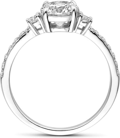 Gerhodineerd Zilver Ring Met Zirkonia 1339210