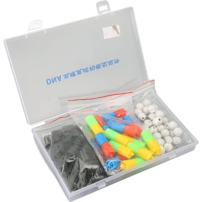 DNA Dubbele Helix Structuur Modellen Educatieve DNA Dubbele Helix Modellen Kit Biologische Wetenschap white