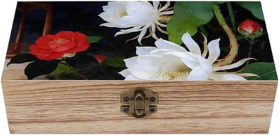 Houten Opbergdoos - Aandenkistje Sieraden - Schatten Opbergen - Handgemaakt Acaciahout - 20 x 9.4 x 5.8 cm - Wit