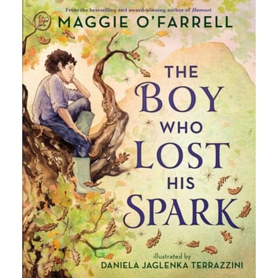 The Boy Who Lost His Spark - Maggie O'Farrell