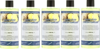 Handzeep Fresh Ginger 500 ml - set van 5 stuks - Voordeelverpakking