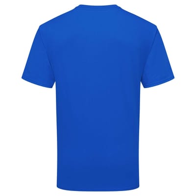 Fruit of the Loom Unisex Volwassenen 100% Katoenen T-Shirt (Koninklijk Blauw)