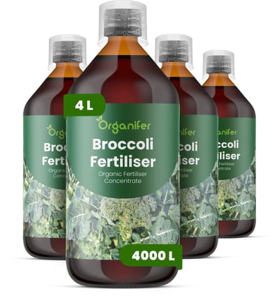 Vloeibare Meststof Voor Broccoli 4X1 L Voor 4000 L - Npk 2-1-8 - Krachtige Groei - Sterk Wortelstelsel - Stressbestendigheid - Nutriëntenopname - Plantvitaliteit - Stevige Stengels - Diepgroene Bladkleur - Voedingswaarde - Organifer