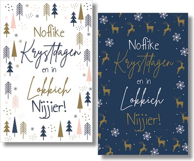 MGPcards - 2 doosjes à 10 Luxe dubbele wenskaarten - Friese tekst - Kerst/Nieuwjaar - Foliebewerking - Witte envelop - 10.5 x 16 cm - 2 Motieven per doosje