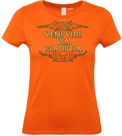 Dames t-shirt Veni Vidi Via Gladiola | Vierdaagse shirt | Wandelvierdaagse Nijmegen | Roze woensdag | Oranje | maat XS