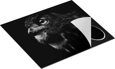Chefcare Inductie Beschermer Zwarte Uil met Gouden Ogen - Zwart Wit - 60x50 cm - Afdekplaat Inductie - Kookplaat Beschermer - Inductie Mat