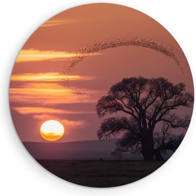 Saammp Muurcirkel Hout - Vogels met zonsondergang - Dieren - Bloemen - Ø 90 - Wandcirkel - Wanddecoratie Cirkel - muurdecoratie Woonkamer - Slaapkamer decoratie - Rond Schilderij