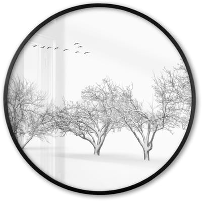 Poster in lijst Rond - Fotolijst 60x60 cm - Posters - Bomen - Zwart wit - Natuur - Vogels - Ronde posterlijst zwart - Decoratie - Wanddecoratie woonkamer - Muurdecoratie slaapkamer