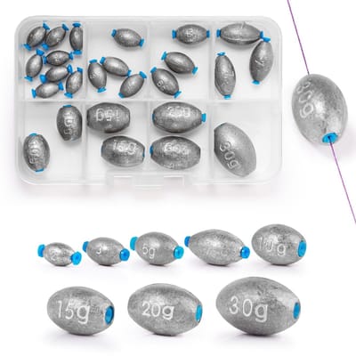 Dailygoods- Vissen Gewichten 25 Stuks - Plastic Core - Karper Vissen Gewichten - Drop Shot Gewichten - Zeevracht - Zoutwater/Z zoetwater - Vislood