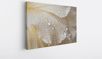 Saammp Canvas Schilderij - Natte Bladeren - Abstract - 30x20 - Foto op canvas - Wanddecoratie - Muurdecoratie Woonkamer - Slaapkamer decoratie - Canvas Print