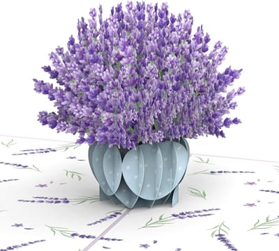 3D Lavendel Pop-up Kaart - Verjaardag, Felicitatie en Bedankt Wenskaart met Bloemen