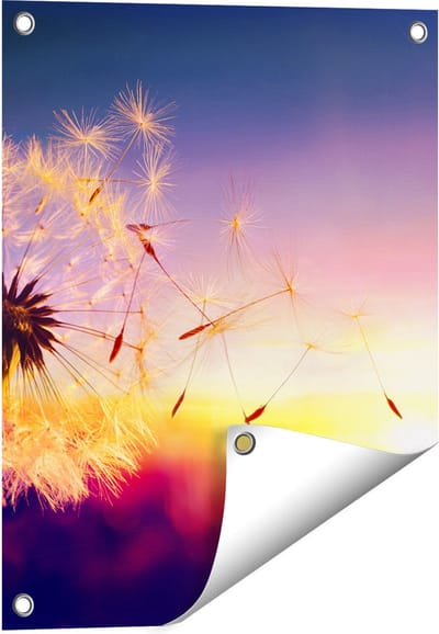 Gards Tuinposter Paardenbloem tijdens Zonsondergang - 40x50 cm - Tuindoek - Tuindecoratie - Wanddecoratie buiten - Tuinschilderij