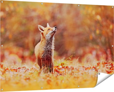Gards Tuinposter Vos in het Bos tussen de Bladeren - 150x100 cm - Tuindoek - Tuindecoratie - Wanddecoratie buiten - Tuinschilderij