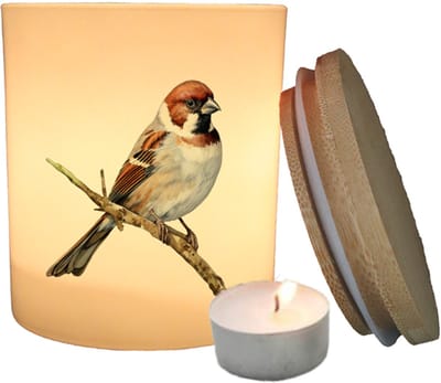 Geurfruit - Waxinelichthouder - Vogel - Mus