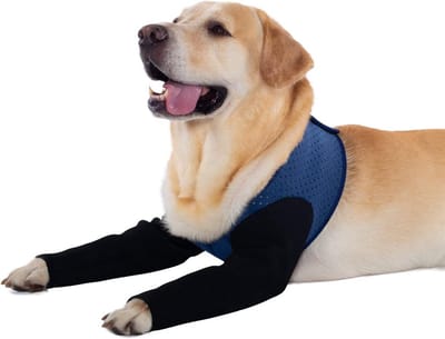 Honden Herstelpak - Herstel Kleding - Wonden Beschermen - Waterdicht Materiaal - XL - Blauw
