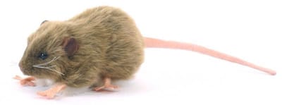 Rat Knuffel bruin, 12 cm, Hansa
