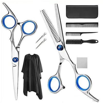 Dailygoods- Kappersschaar Set 10-delig - Professionele Kappersset - Ergonomische Handgreep - Roestvrij Staal - Inclusief Clips/Kammen - Ideaal voor Salons - Haarschaar