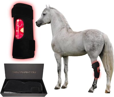 Rood Licht Therapie - Infrarood Apparaat - Paarden Herstel - Draagbaar Opvouwbaar - 37 cm - Zwart