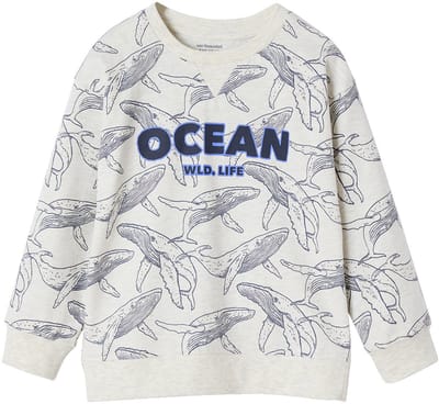 Vertbaudet Jongensshirt in sweaterlook met print