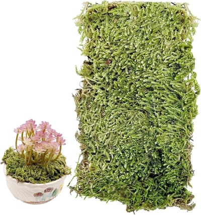 Natuurlijke Kunstgras Landschap Model, Kunstmos voor Spoorweg Diorama's, Groene Mos voor Miniatuurlandschappen en Modelbouw
