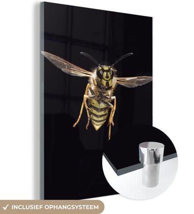 MuchoWow® Glasschilderij 120x160 cm - Schilderij acrylglas - Wesp - Insecten - Portret - Foto op glas - Schilderijen