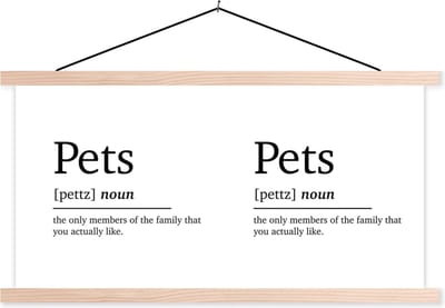 Posterhanger incl. Poster 120x60 cm - Schoolplaat - Spreuken - Woordenboek - Pets - Quotes - Huisdieren definitie - Textielposter - Blanke latten