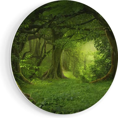 Artaza Forex Muurcirkel Groene Tropische Jungle Bos - 60x60 cm - Wandbord - Wandcirkel - Rond Schilderij - Wanddecoratie Cirkel