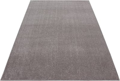 Laagpolig vloerkleed Ata - beige - 80x150 cm