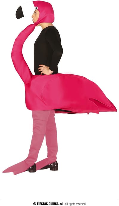 Fiestas Guirca - Volwassenenkostuum Op een Flamingo