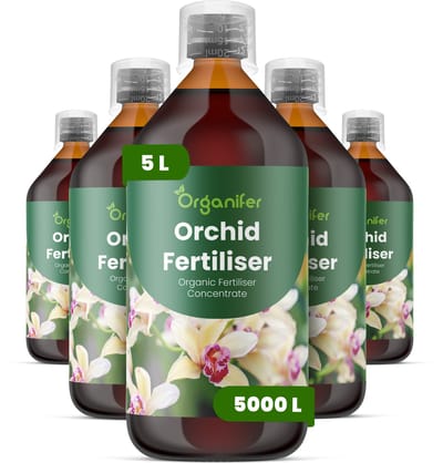 Vloeibare Meststof Voor Orchideeën 5X1 L Voor 5000 L - Verbetert De Bloeiprestaties Bij Alle Orchideeënsoorten - Versterkt Het Wortelstelsel Inclusief Luchtwortelontwikkeling - Ondersteunt Knopvorming En Verlengt De Bloeiduur - Organifer