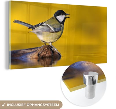 MuchoWow® Glasschilderij 40x20 cm - Schilderij acrylglas - Koolmees - Vogel - Water - Foto op glas - Schilderijen