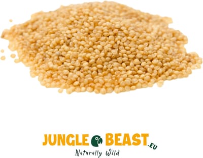 Jungle Beast | Amaranthzaad | Vogels | Papegaaien