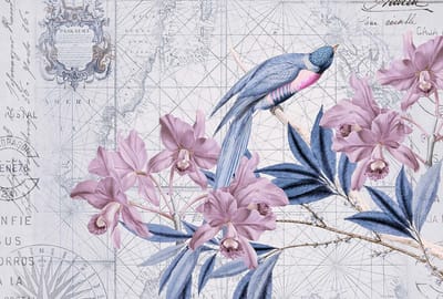 Fotobehang BirdDiscovery2 DD119721 A.S. Création ARTist Blauw Paars Vlies 270 x 400 cm (4 delen) 3D Fotobehang