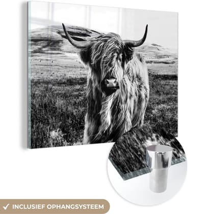 MuchoWow® Glasschilderij 120x90 cm - Schilderij acrylglas - Zwart - Wit - Schotse Hooglander - Gras - Foto op glas - Schilderijen